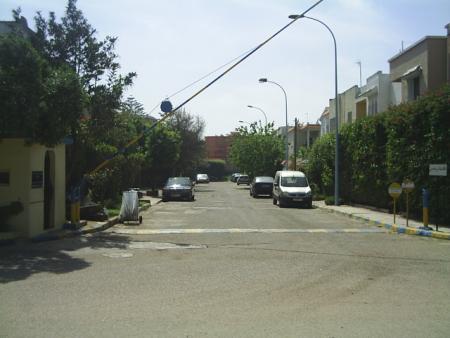 narjis